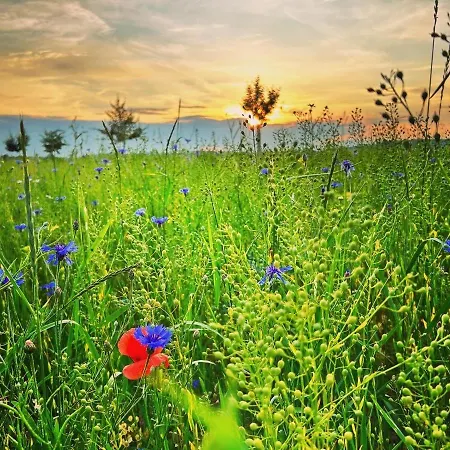 Landliebe *