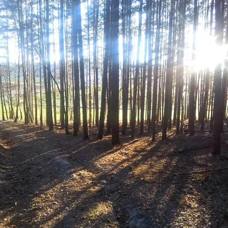Landliebe *